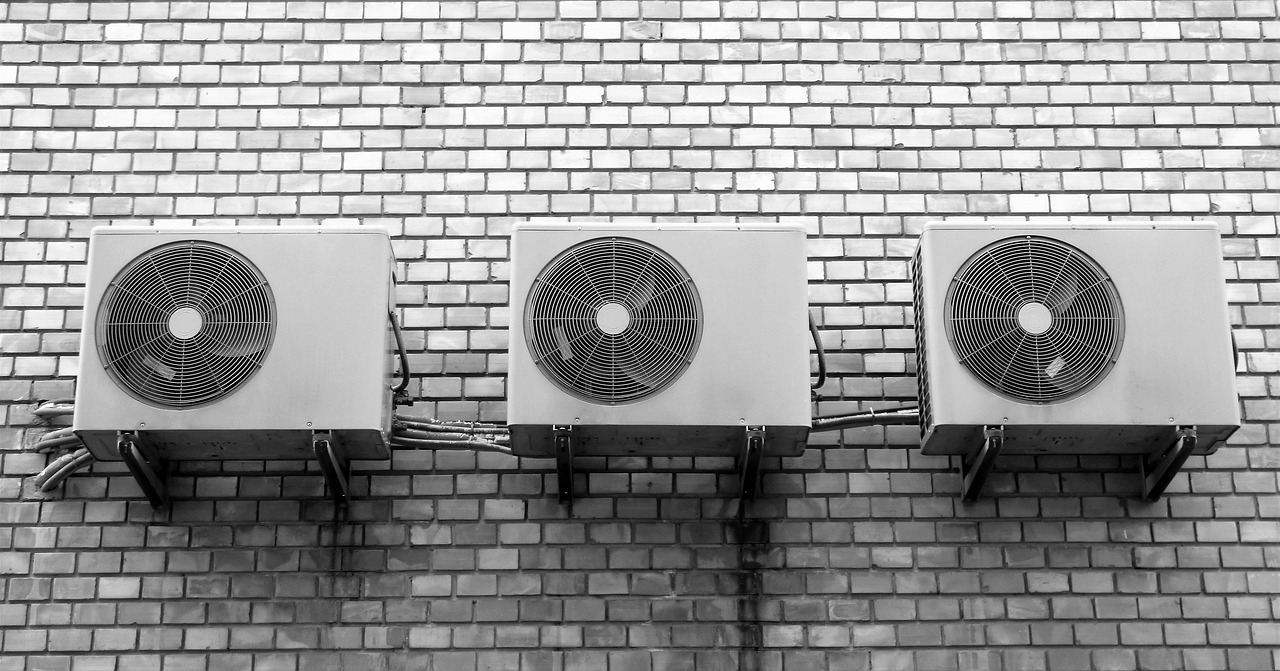 Pared